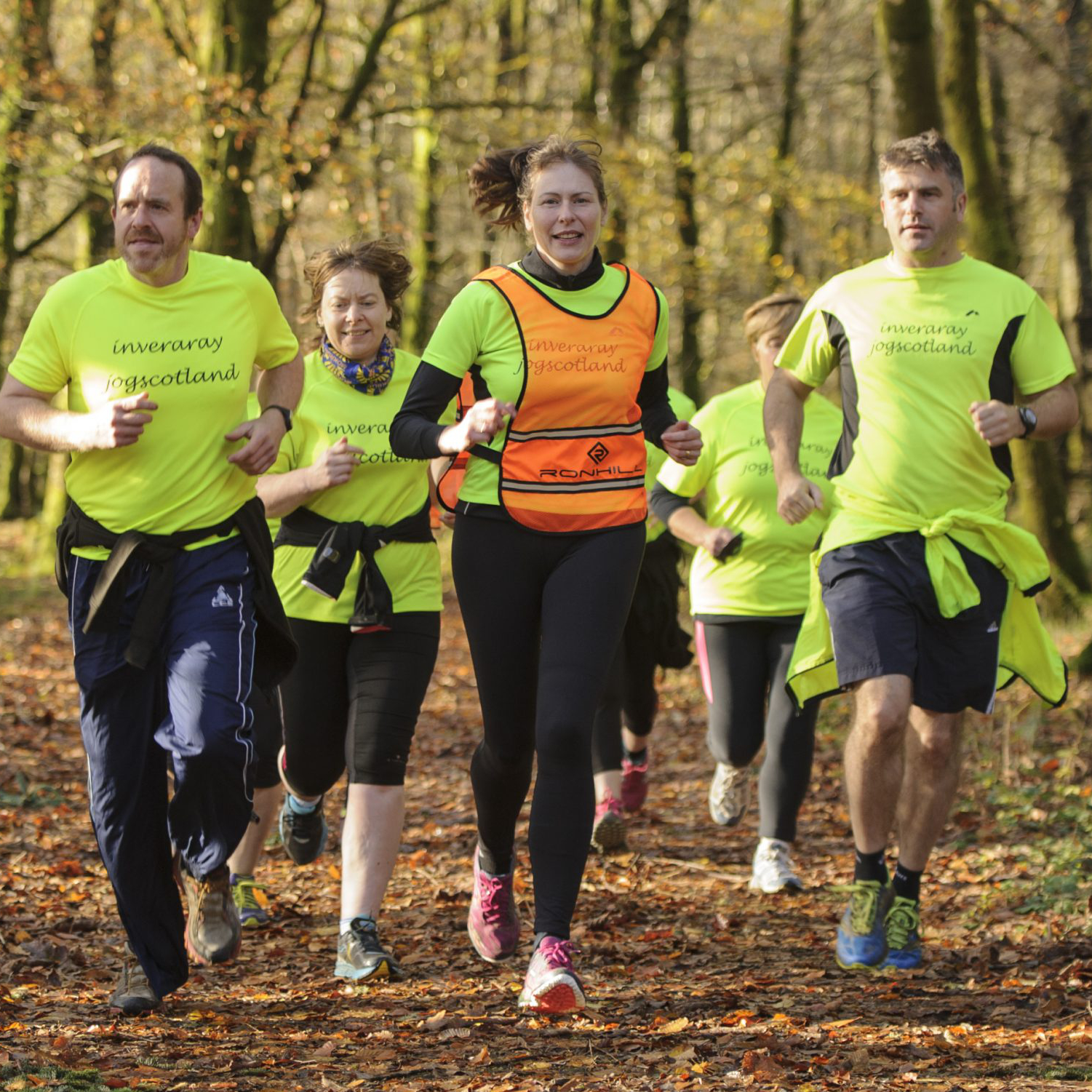 A group of people jogging on a woodland path